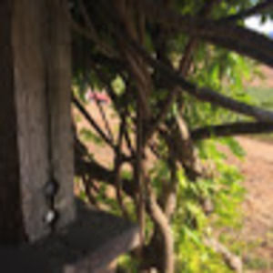 Meet your Posher, Isabella